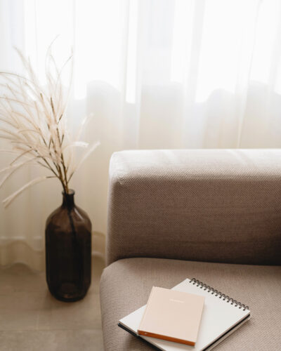 Beige couch with small wispy plant with lots of natural light