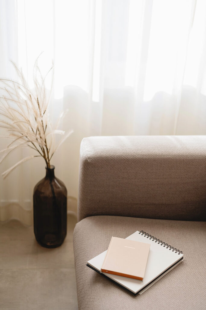 Beige couch with small wispy plant with lots of natural light